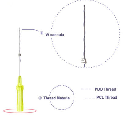 Pdo Thread Lift Face-Anti Aging Skin-Pdo Thread supplier